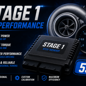 Optimisation moteur Stage 1 — 55 EUR